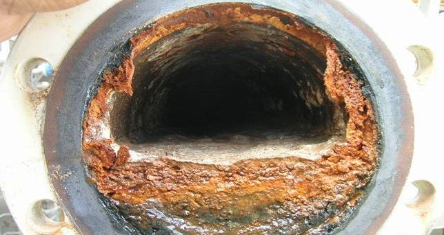 Biofouling und Biofilm in wasserführenden Anlagen und Systemen