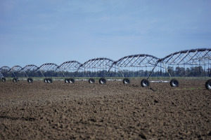 Künstliche Bewässerung in der Landwirtschaft